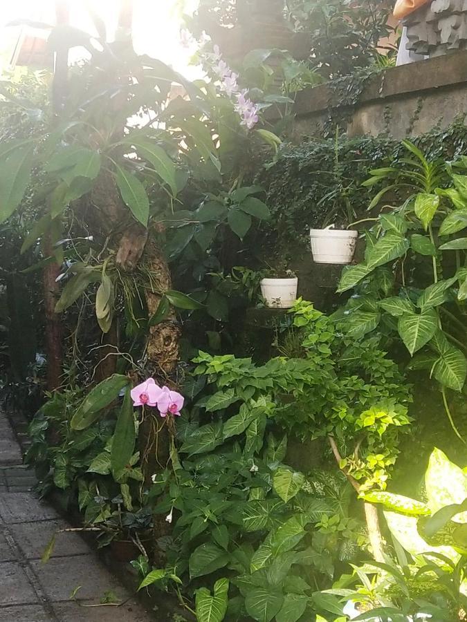 Santa Fe Homestay & Warong Amed  Ngoại thất bức ảnh