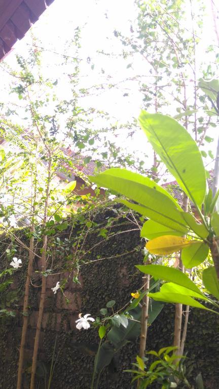 Santa Fe Homestay & Warong Amed  Ngoại thất bức ảnh